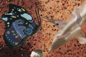 butterfly and bird cut from brass and coloured using epoxy resin terrazzo in bar top